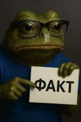 Факт.gif