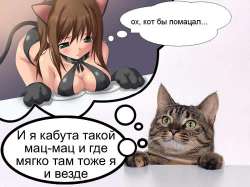 мац-мац мягко.jpg
