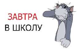 17566777681078594646587000902798.jpg
