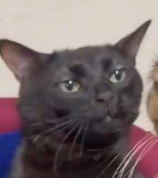 1615066886212.png