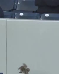 VID20250901144522907.mp4