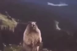 4532.MP4