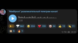 1.mp4