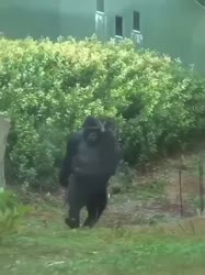 17567338459670.mp4