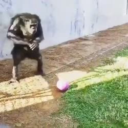 1643805094283.webm