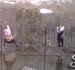 17105825583000.mp4
