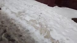 1734220433253.mp4