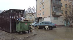 video.mp4