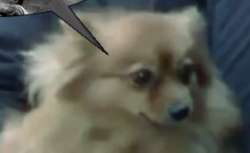1645142946725.png