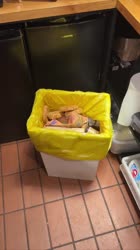 17532616298181.mp4