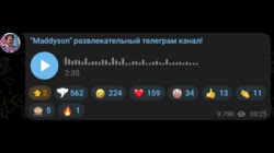 17567339552140.mp4