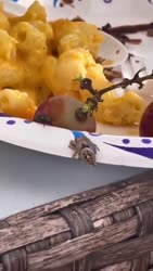 1756756354957.mp4