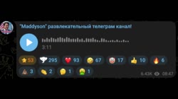 17567339552852.mp4