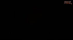 -7491560960490491938.mp4