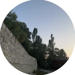 video (9).mp4