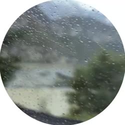 video (9).mp4