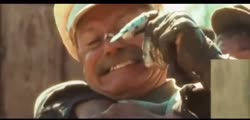 17567349923931.mp4