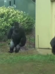 17567338459670.mp4