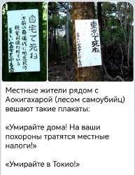умирайте дома.png