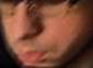 PhotosLvMgDBnStf.png
