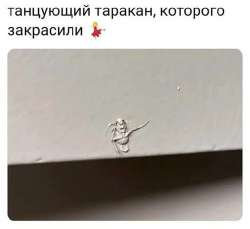 1757011460211.jpg