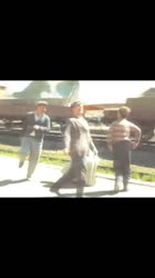 17567978102683.mp4