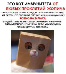 1756901660780.jpg