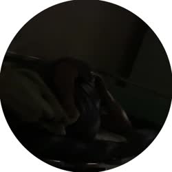 5463497900360049222.mp4
