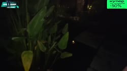 IMG3267.MP4