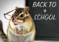 istockphoto-654631624-612x612.jpg