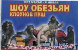 264a1afe170e8b9db37da4db3429c7ba.jpg