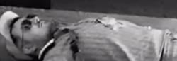 alertorig (9).webm