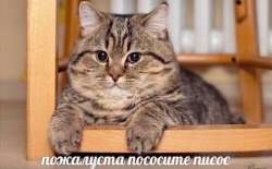 1HJaCzdw9hwg-Hp9Bnugve3ZhuyJWeDHeXx1Bljh0cBbuFdA2ByaEmIbCyHp2cLkMDBvhA.jpg