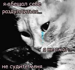 обещал раздуплиться и не смог.jpg