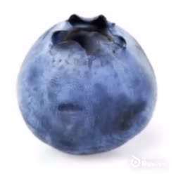 17081652837960.webm