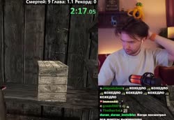 17562165736295213342.webm