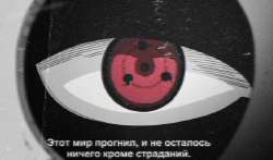 1687339312769.jpg