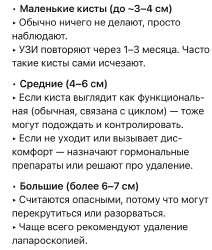 IMG0596.jpeg