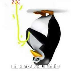 17063826512090.jpg