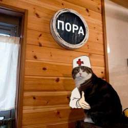 пора в дурку.jpg