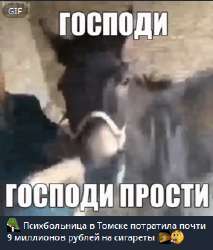 изображение.png