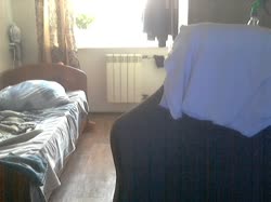 17559565534720.webm