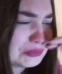 63462.jpg