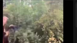 1756998543455.mp4