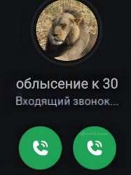 Снимок.PNG