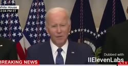 17554252789200.mp4