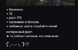 Снимок экрана 2025-09-06 174857.png