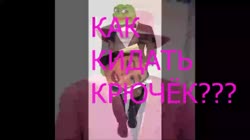 16077812349910.mp4