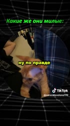 060.mp4