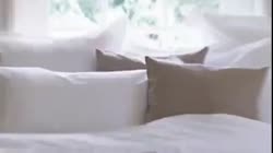 16090685423670.mp4